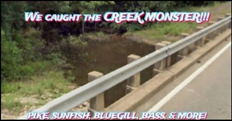 Fishing in the Creek Again!!!