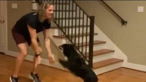 This dog is an amazing dance partner!
