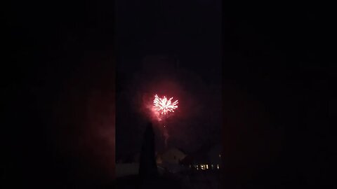 Happy 4th Of July! Fireworks | Neighbors | USA | Holiday