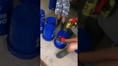 BUCKET GARDENING, The FRUITS of our Conflict! 😂🍠🪣 #shorts #viral #trending #tiktok #garden