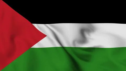 FREE, FREE PALESTINE!!