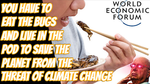 Will You Eat The Bugs And Lab Grown Meat To Fight Climate Change?