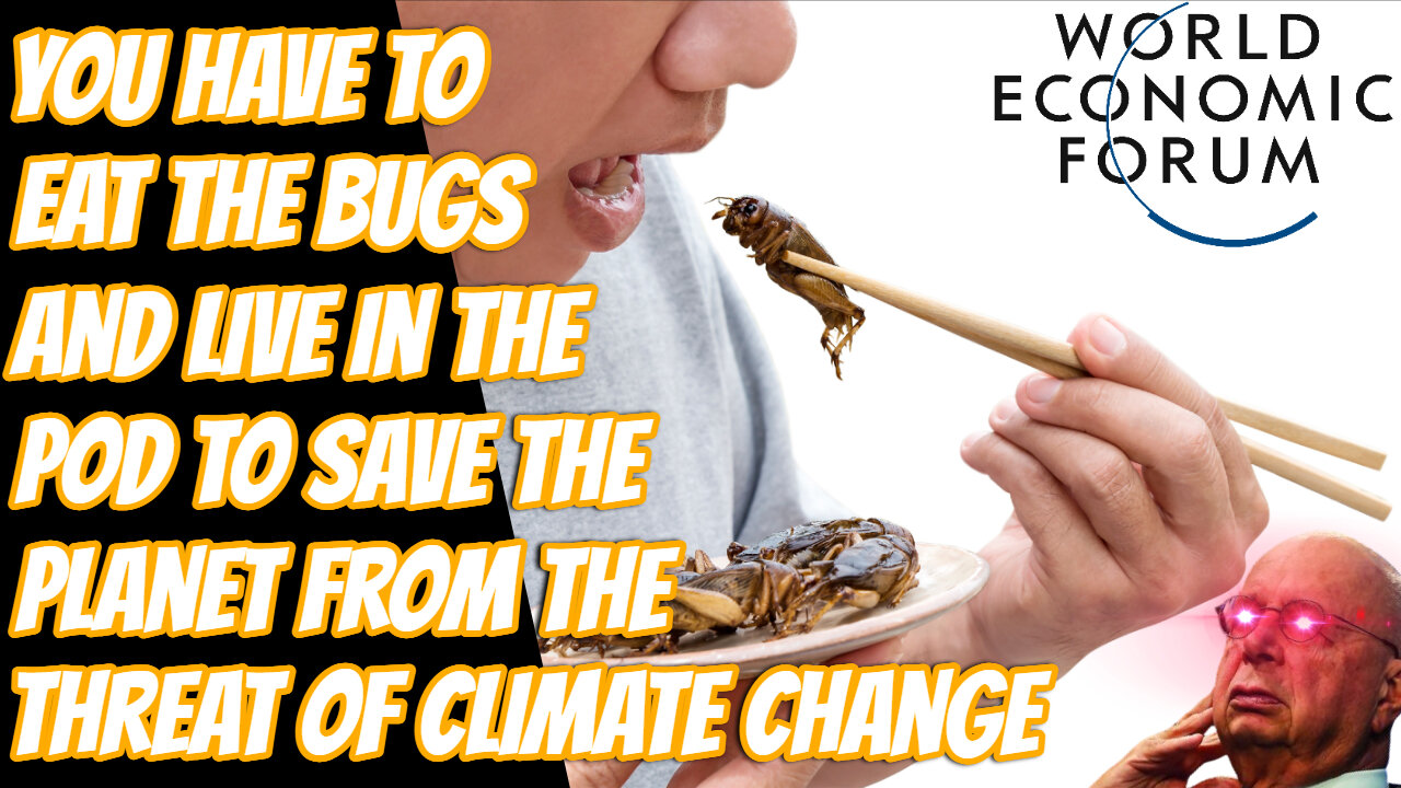 Will You Eat The Bugs And Lab Grown Meat To Fight Climate Change?