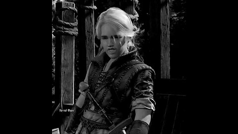 TikTok:SHeremetick 🩸🩸🩸 The Witcher 3 Wild Hunt #videogames #games #pcgames #mobilegames
