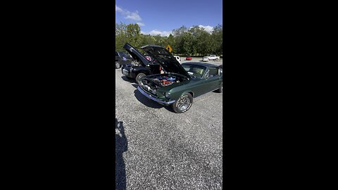 Aluminum head 428 in a 67 Mustang Fastback. Steve McQueen, eat your heart out