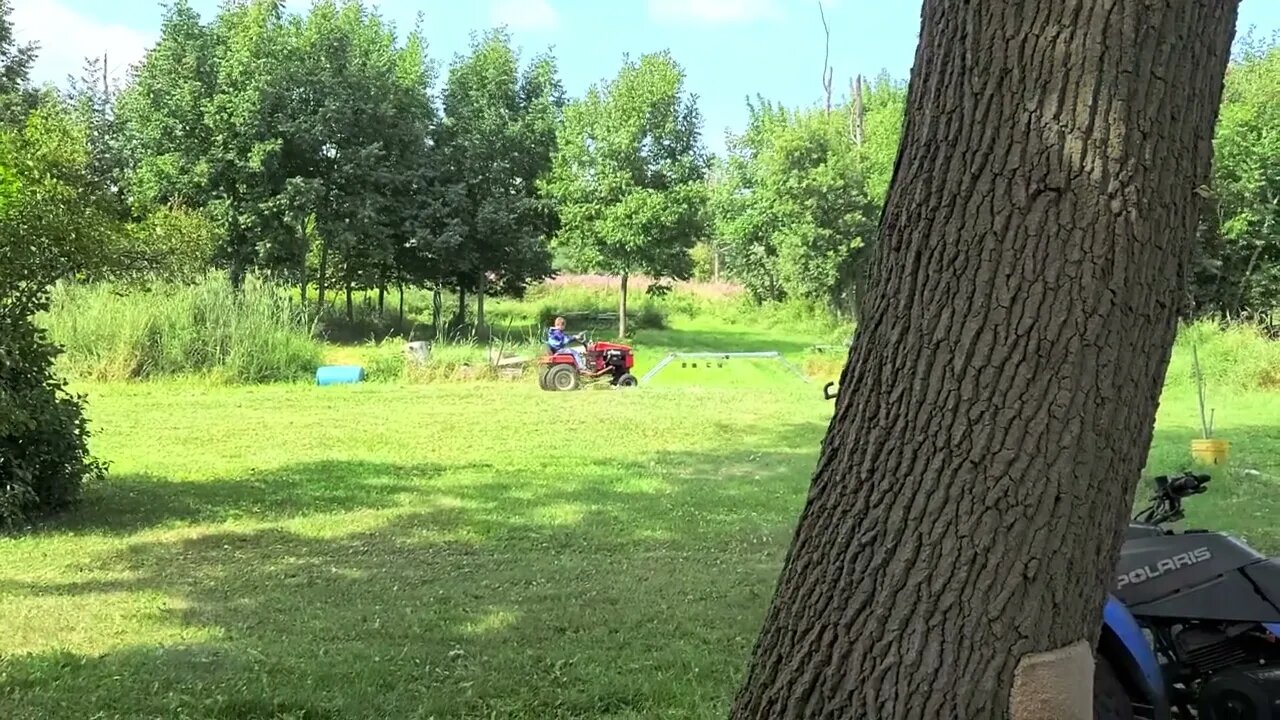 Little man in the act 🎬 First time mowing