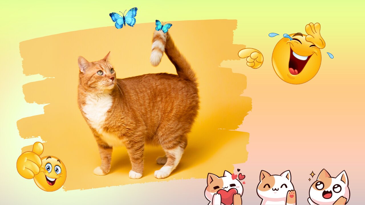 Fun with Non-Stop Funniest Cats and Dogs Video, Funniest animal videos #shorts #trending #short