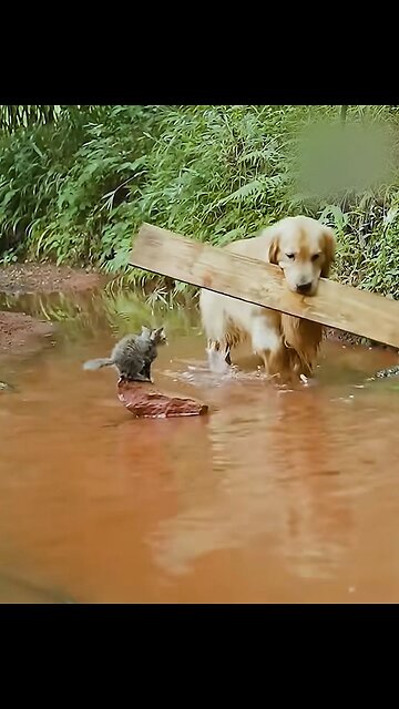 Helping each other the best form of showing love 😻😻😻