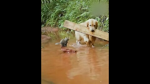 Helping each other the best form of showing love 😻😻😻