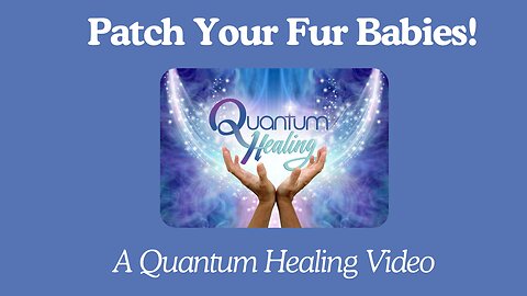 Patch Your Fur Babies