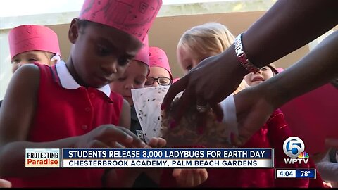 Students release 8,000 ladybugs for Earth Day