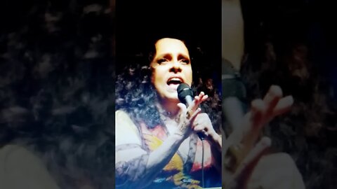 OS 20 BILHÕES DE GAL COSTA! #shorts #galcosta #bilhões