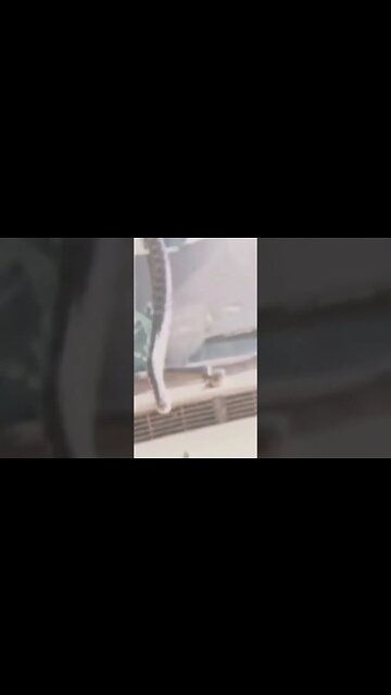 The Camel Trophy Any Kind of Hat