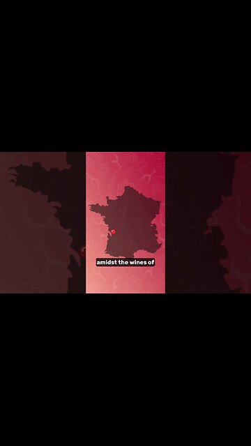 Michel Rolland - The Flying Winemaker 🍷😮🛫