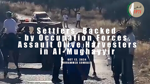 Zionist Colonists protected by the occupation forces, attacked olive pickers in Al-Mughayyir