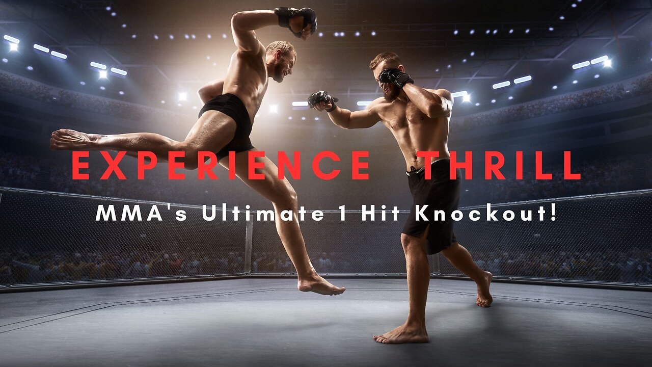 Best MMA One Hit Knock Out !!!