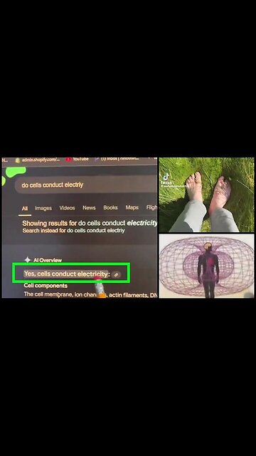 Cells Conduct Electricity - You are a Light Being