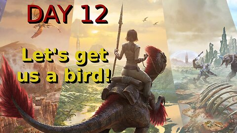 Ark Survival Ascended - The Island - Day 12: Let's get us a bird!