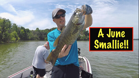 A June Morning Catching BIGGINS!! #bassfishing #smallmouth #buzzbait