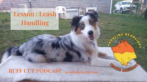 Ruff Cut PodCast Back to the basics: Leash Handling