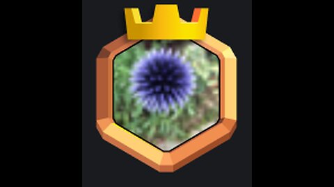31.8.24