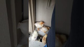 Just hanging out