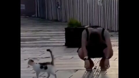 Epic FAILS Compilation 2022