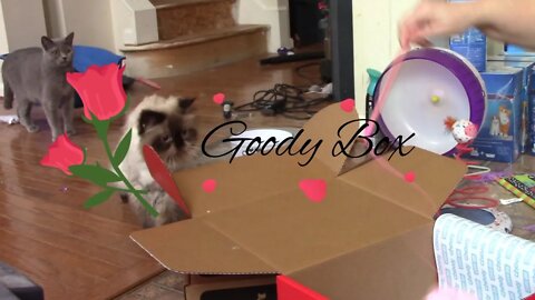Goody Box Sweet Tails Valentines Box From Chewy 😻
