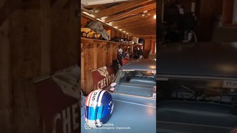 I have many odds and oddities in my new garage 😂