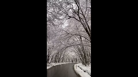 Watching the world transform into a winter wonderland ❄️✨ There’s something magical