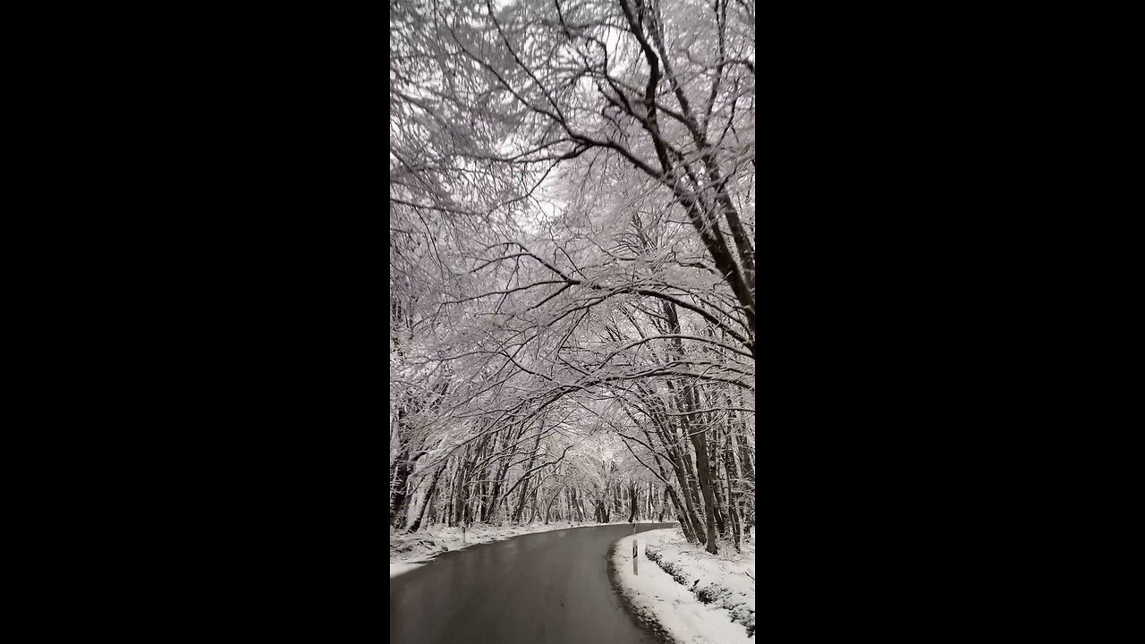 Watching the world transform into a winter wonderland ❄️✨ There’s something magical