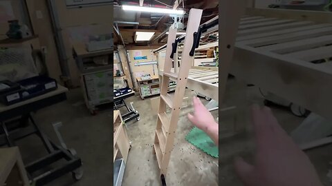 Library ladder for a bunk bed