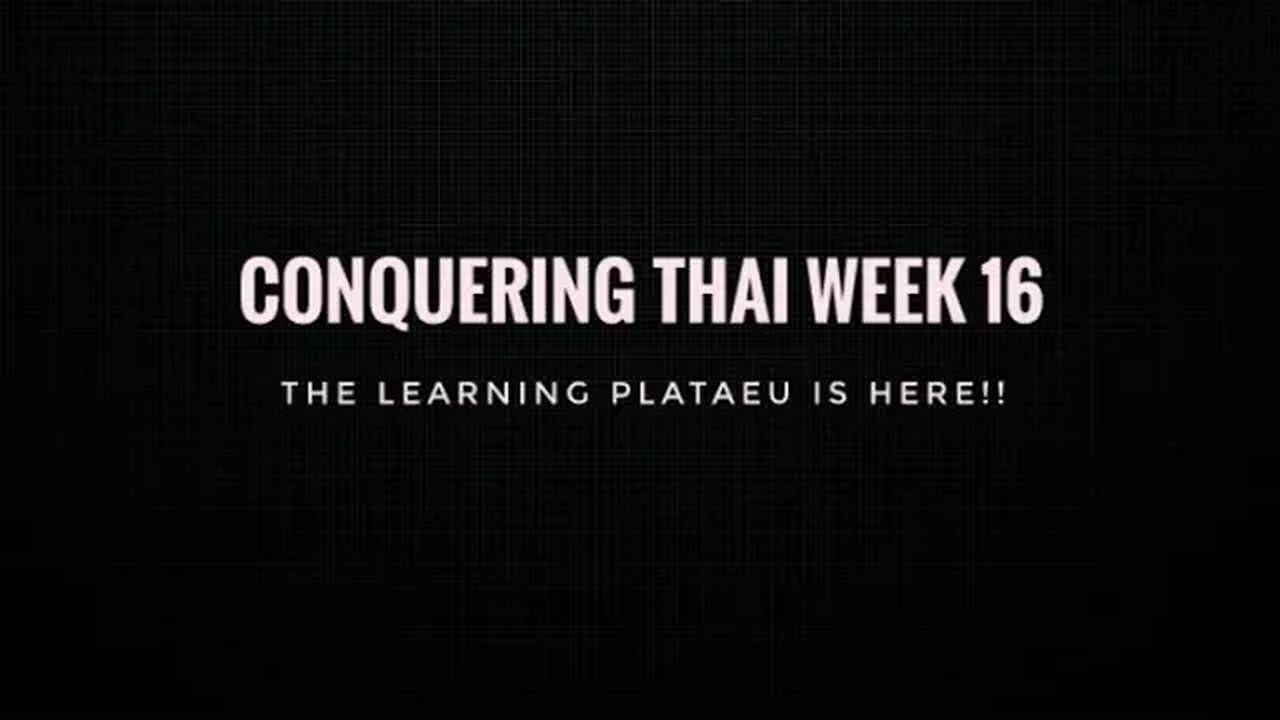 Conquering Thai Week 16: The Learning Plataeu is here!!