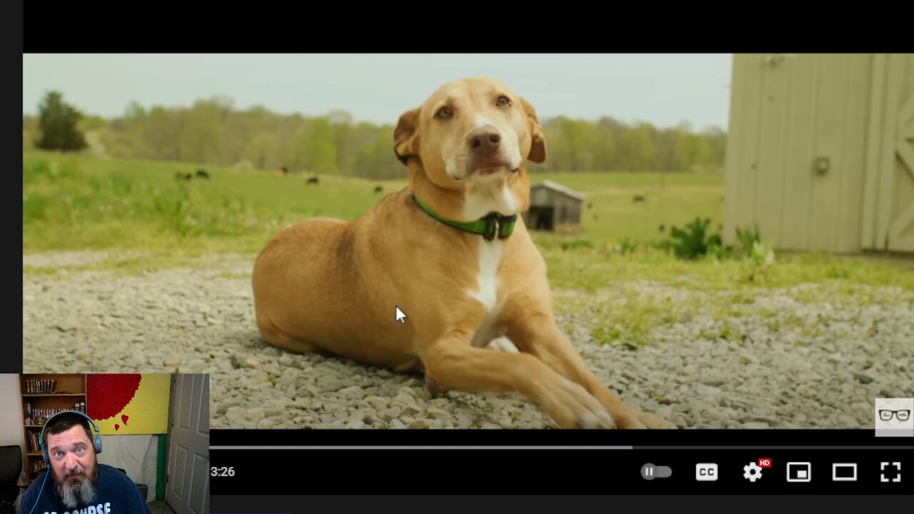 Chase Matthew - Still Got My Truck Reaction