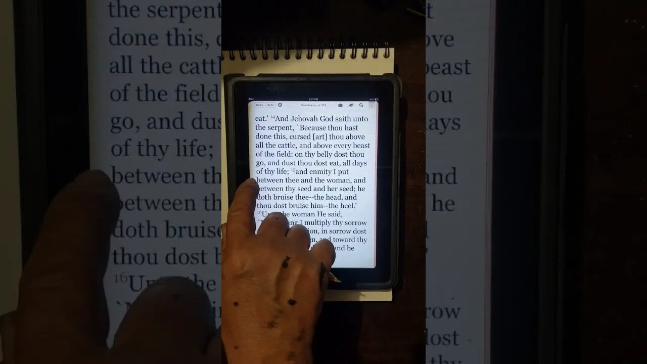 The seed of the serpent in Genesis 3:15 is revealed in John 8:44 and in 45 they do not believe Truth