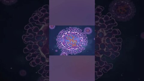 Which city is Ground Zero for Monkeypox? #Shorts