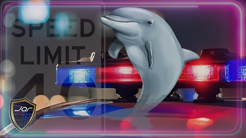 RACE-BAITING and MEDIA LIES: Tyreek Hill's Traffic Stop
