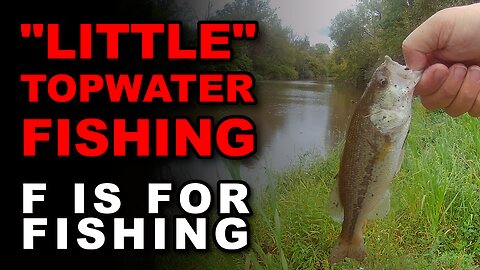 "Little" Topwater Fishing
