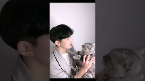 Cats & Dogs Trying To Be Cute & Funny.