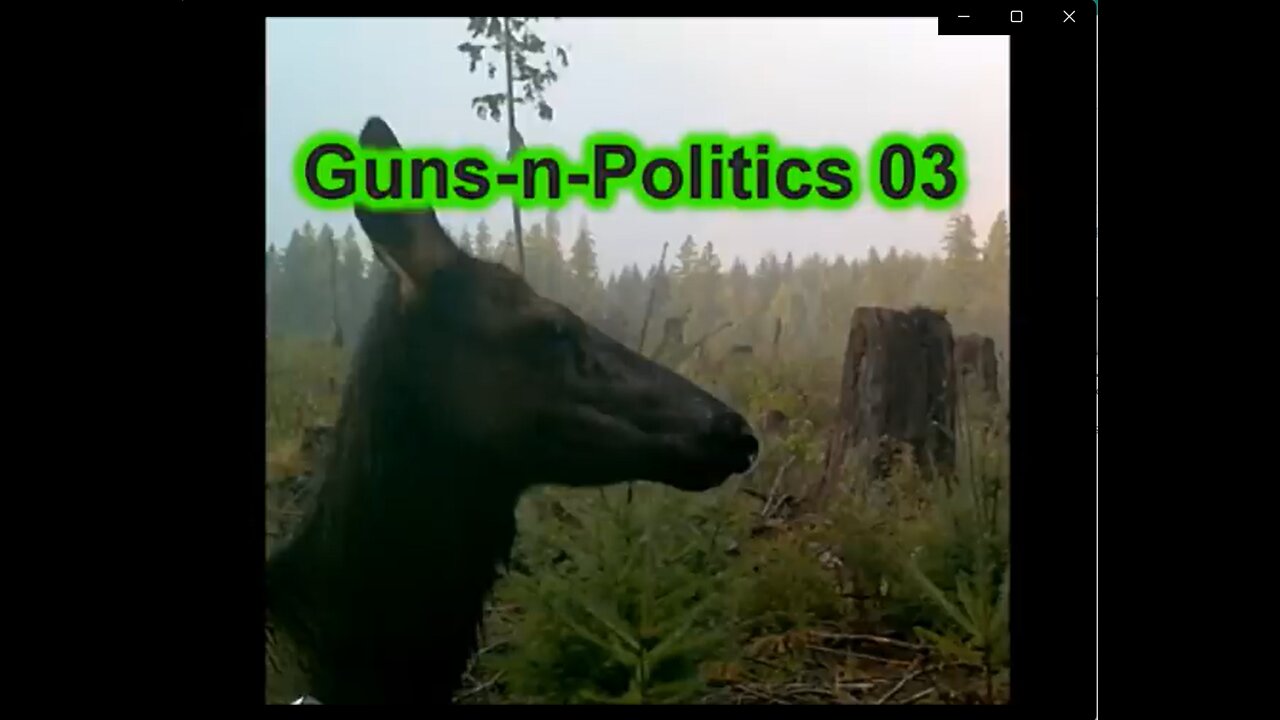 03 Guns-n-Politics-(GnP) Get-Some Podcast