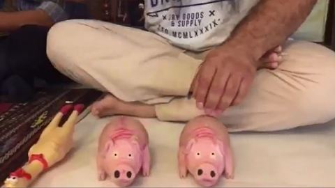 Household items make great music