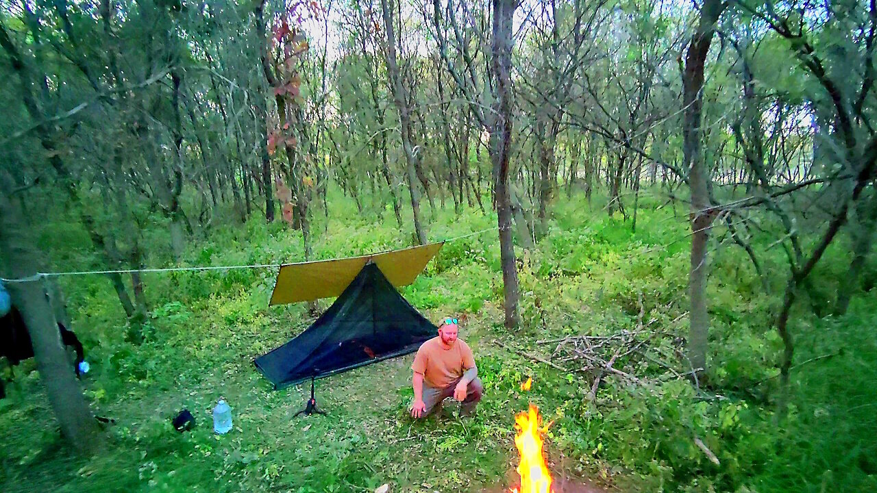 RETURN TO THE URBAN WOODS WITH THE RAMBLING SHENANIGANS MASTER