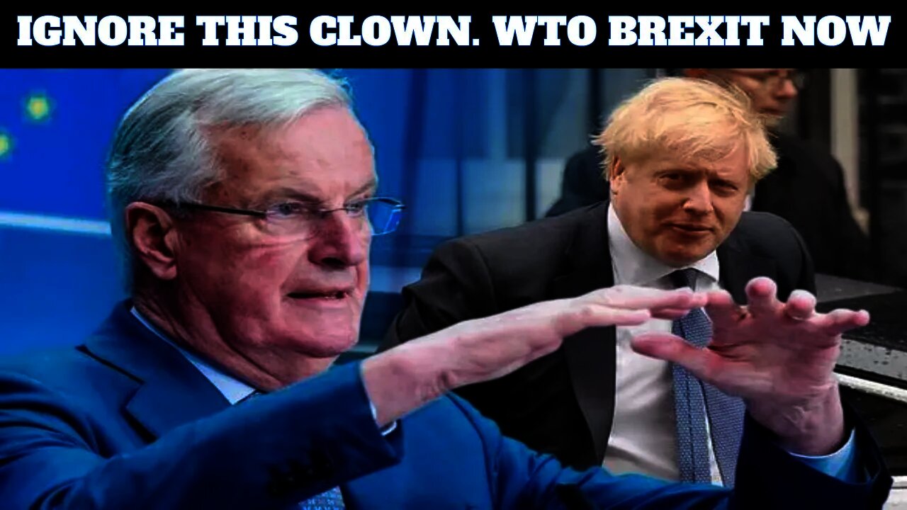 Former Brexit Party MEP Calls On Boris Johnson To Ignore Barnier & Leave On WTO Terms Now