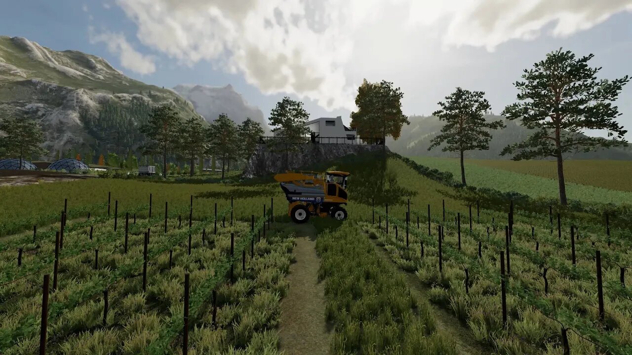 FS22 | The Hills of Tuscany | Timelapse #74 | Grape Harvester