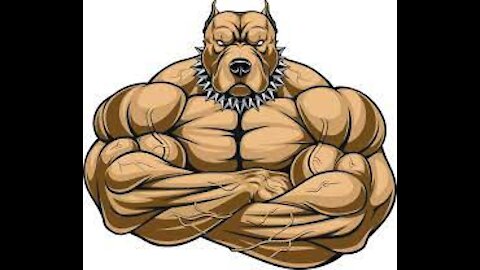 The World's 10 Most Muscular Dog Breeds