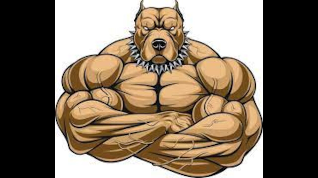 The World's 10 Most Muscular Dog Breeds