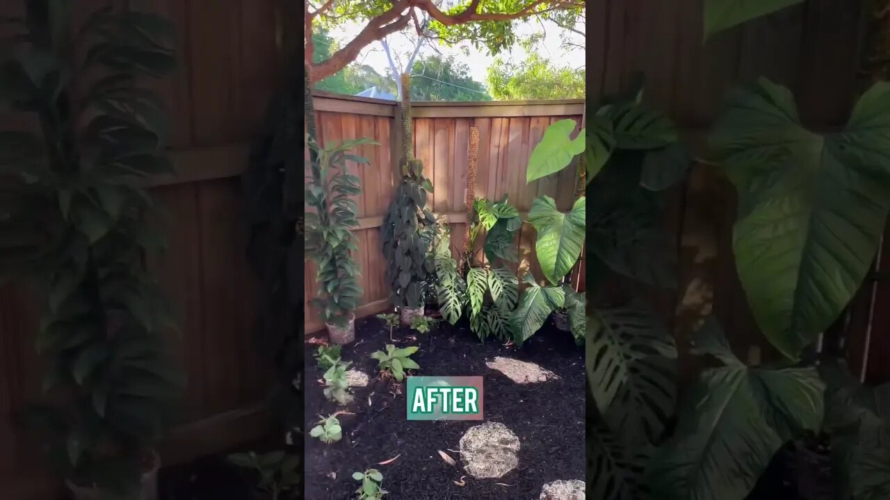 Felt so good getting my hands dirty transforming my outdoor area today 🙌 #garden #gardening