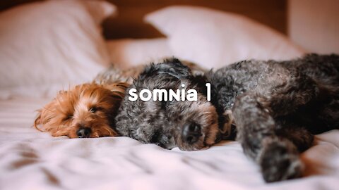 calming music ║ relax with me - somnia 1