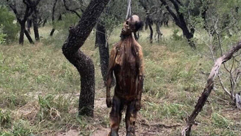 Democrats Ignore Lynchings At The Southern Border