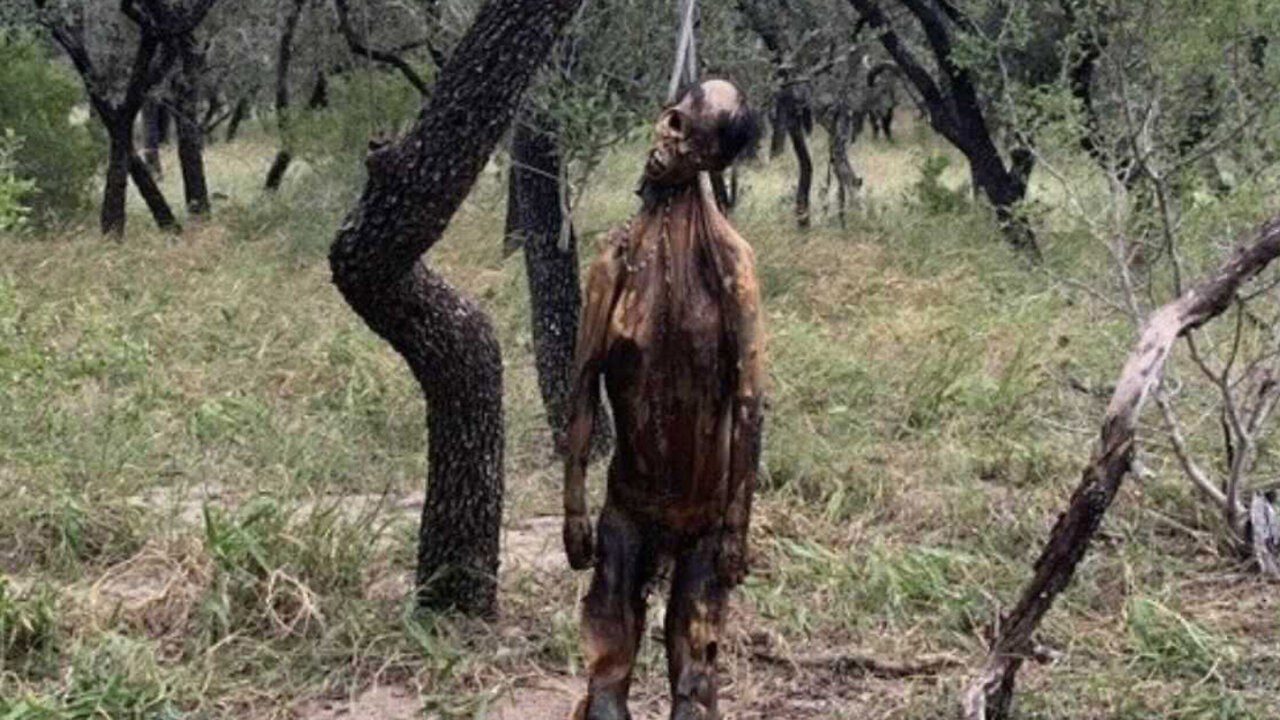 Democrats Ignore Lynchings At The Southern Border